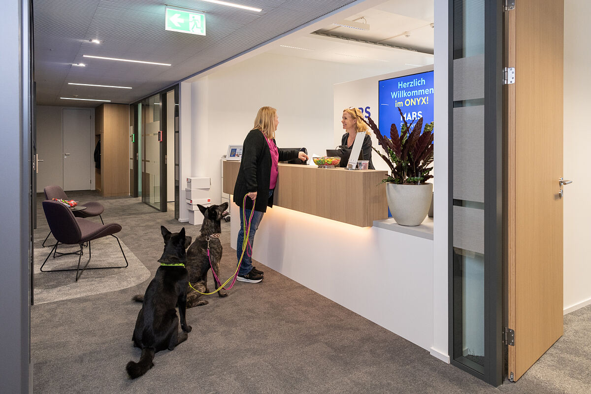 Mars Switzerland_Dogs in the office_1