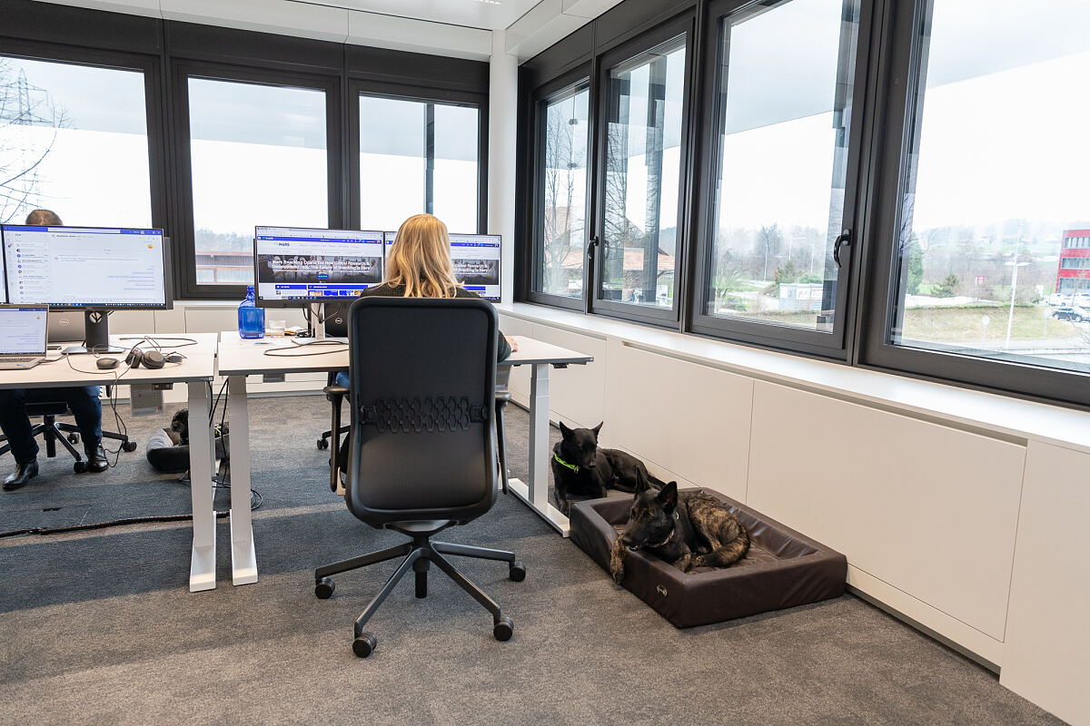 Mars Switzerland_Dogs in the office_2