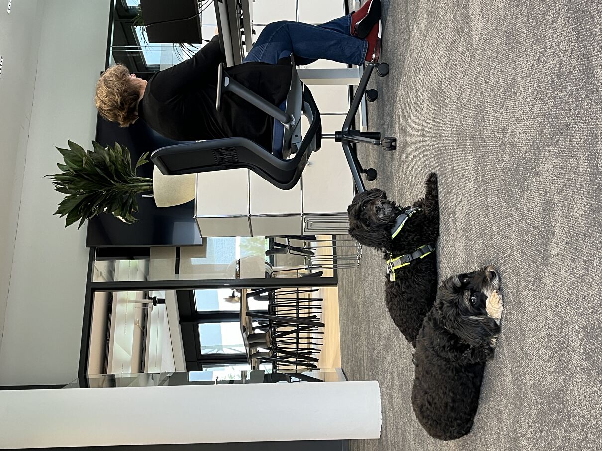 Mars Switzerland_Dogs in the office_3
